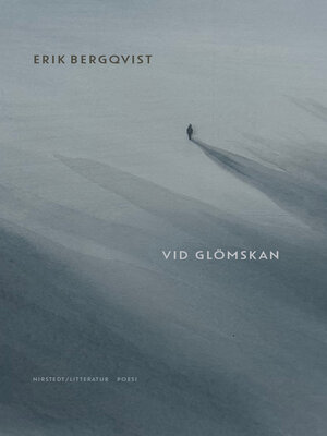 cover image of Vid glömskan